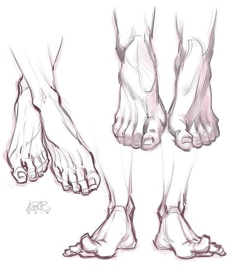 Feet Drawing, Human Anatomy Drawing, Human Anatomy Art, Anatomy Sketches, Anatomy For Artists, Figure Sketching, Anatomy Drawing, Art Courses, Figure Drawing Reference