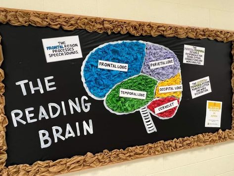 Brain Bulletin Board, Literacy Specialist, Literacy Coaching, Staff Room, Reading Specialist, Instructional Coaching, Reading Instruction, Library Ideas, Bulletin Boards