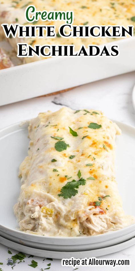 White Chicken Enchilada Recipe, Creamy White Chicken Enchiladas, Recipe With Cilantro, Creamy Chicken Enchiladas Recipe, Cilantro Recipes, White Chicken Enchiladas, Creamy Chicken Enchiladas, Enchilada Recipe, Chicken Healthy