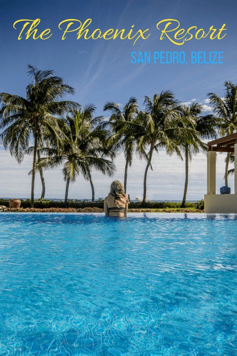 The Phoenix Resort is considered one of the best hotels in San Pedro, #Belize. Here's why you'll want to book into this fantastic, all-suite spot. #Travel | #Luxury | #CentralAmerica | #Hotel | #Resort San Pedro Belize, Belize Beach, Reasons To Stay, Belize Resorts, Lake Camping, Travel Luxury, Central America Travel, Us Road Trip, Family Hotel