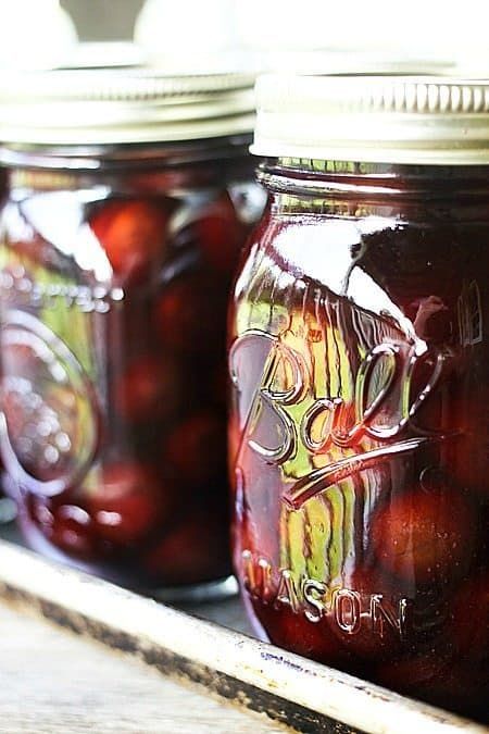 Brandied Cherries Recipe, Maraschino Cherries Recipes, Marachino Cherries, Pickled Fruit, Pickled Cherries, Canning Process, Maraschino Cherries, Cherry Recipes, Meals In A Jar