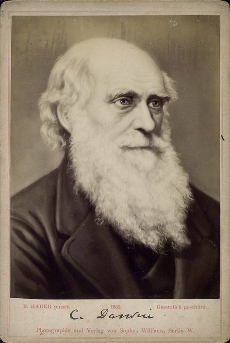 Charles Darwin - NYPL Digital Collections Ayers Rock, Theory Of Evolution, Extraordinary People, Historical People, People Of Interest, Charles Darwin, New York Public Library, Change The World, Public Library