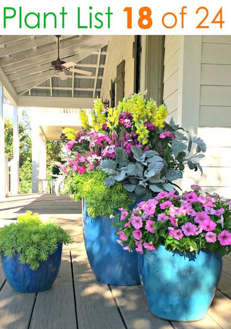 24 designer plant lists for beautiful container gardens & colorful mixed flower pots combinations: great patio planting ideas & backyard landscape designs! – A Piece of Rainbow #backyard #gardens #gardening #gardeningtips #urbangardening #gardendesign #gardenideas #containergardening #diy #summer #spring #porch #patiodesigns #patio #curbappeal Mixed Flower Pots, Patio Flower Pots, Gemüseanbau In Kübeln, Potted Plants Patio, Patio Container Gardening, Tanaman Pot, Patio Flowers, Porch Flowers, Container Garden Design