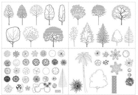 Autocad Trees, Architectural Trees, Landscape Design Drawings, Tree Sketches, Easy Landscaping, Landscape Plans, Landscape Drawings, Tree Drawing, Landscape Projects