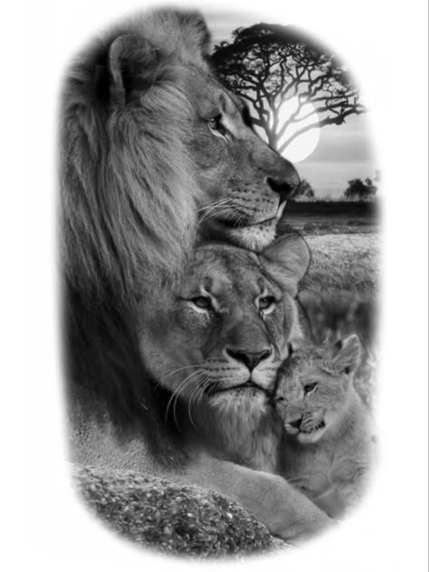 Lion Family Tattoo, Shoulder Sleeve Tattoos, Lion Art Tattoo, Lion Family, Family Tattoo Designs, Full Arm Tattoos, Lions Photos, Lion Images, Tattoo Designs For Girls