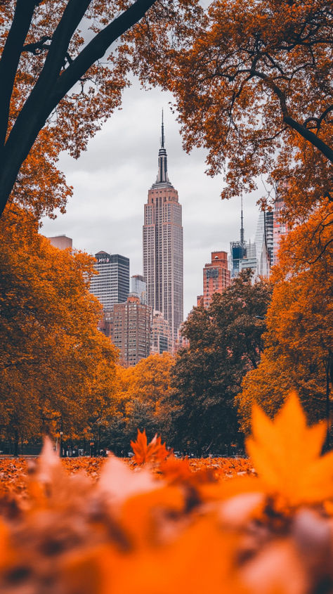 Fun fall activities in New York City Autumn In Central Park Nyc, Fall Central Park Nyc, Things To Do In Nyc Fall, New York City Autumn, New York In November, Things To Do In Fall, New York Autumn, Fall In Nyc, Nyc Fall