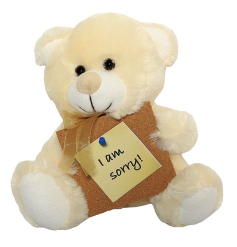 Send your special thoughts with a gift they'll love, hug, and appreciate forever. This Teddy Bear "bears" your special message on a white Tshirt printed with "I'm Sorry." Also makes a great gift to help get you out of the doghouse. #i_am_sorry #teddy_bear Sorry Images, Bear Bears, Love Hug, I Am Sorry, Jordan Sneakers, Cute Teddy Bears, School Project, Paper Crafts Diy Tutorials, Diy Tutorials