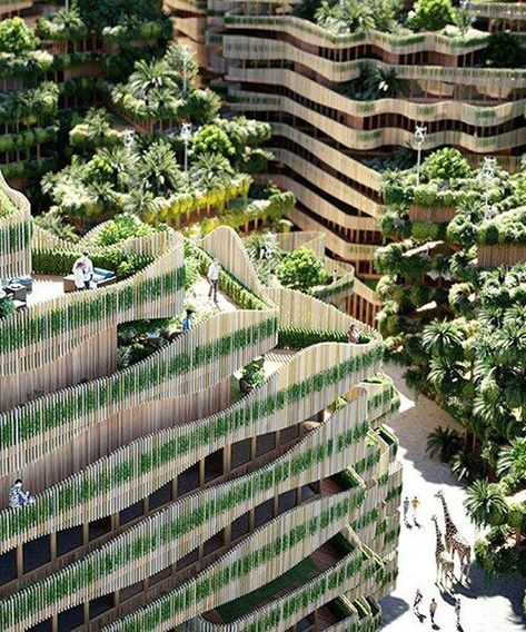 Regenerative Architecture, Timber Facade, Biofilic Design, Biophilic Interior, Biophilic Architecture, Environmental Crisis, Collective Housing, Green Facade, Architecture Concept Diagram