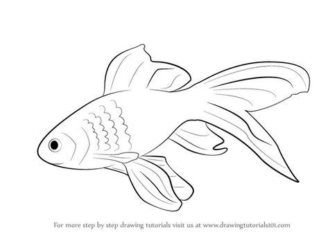 Line Drawing Simple, Drawn Fish, Fish Drawing, Drawing Simple, Night Fishing, Catching Fish, Gold Fish, Loud Noises, Step Drawing