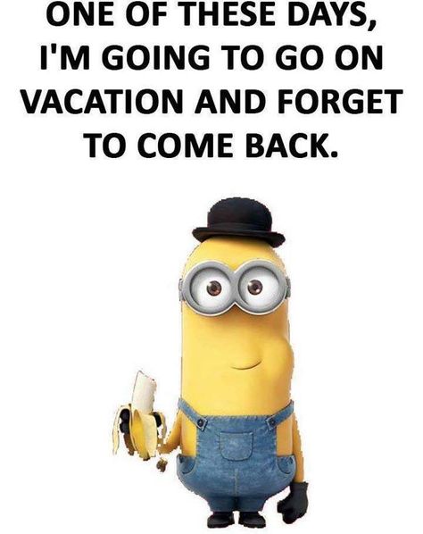 Wait! I don’t get vacations! Never mind.... Vacation Meme, Funny Cartoons For Kids, Funny Kid Memes, Funny Quotes For Kids, Super Funny Memes, A Minion, Funny Pictures For Kids, Happy Birthday Quotes Funny, Funny Relationship Quotes