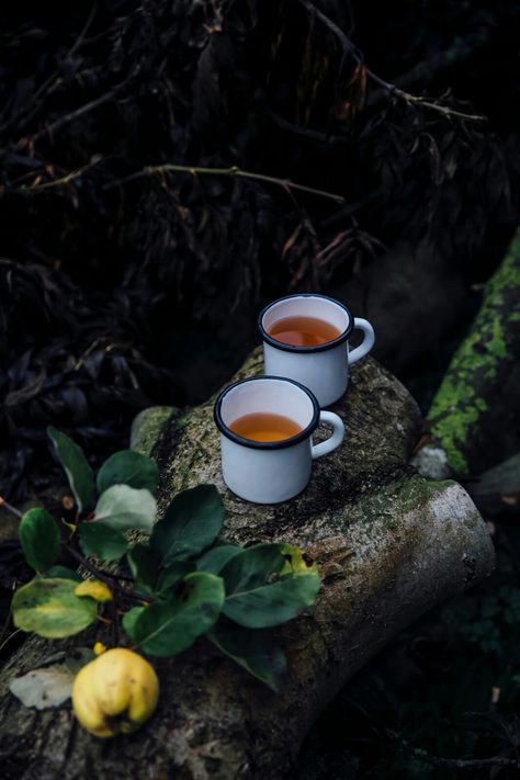 Hemp Milk, Cups Of Tea, Stem Challenge, Food Stories, Fall Breakfast, Camping Coffee, Coffee Photography, Food Photography Styling, Coffee Is Life