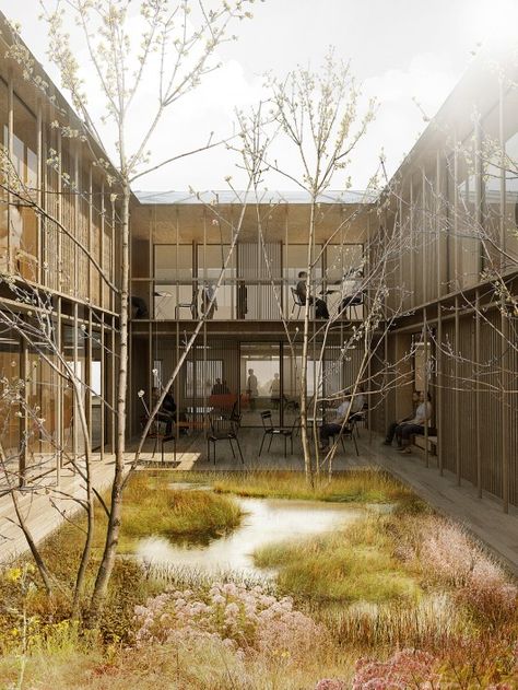 © WE Architecture Architecture Courtyard, Interior Courtyard, Psychiatric Hospital, Easy Landscaping, Architecture Graphics, First Prize, Hospital Design, Garden Architecture, Architecture Rendering