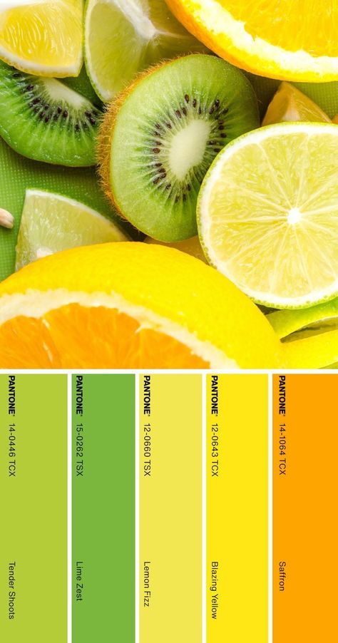 Pantone Color Palette pantone color palette fruit Lemon Pallete Color, Color Palette Fruit, Pantone Colour Palettes 2023, Fruit Colour Palette, Juice Color Palette, Lemon Color Palette, Healthy Color Palette, Fruit Color Palette, Color Palette Pantone