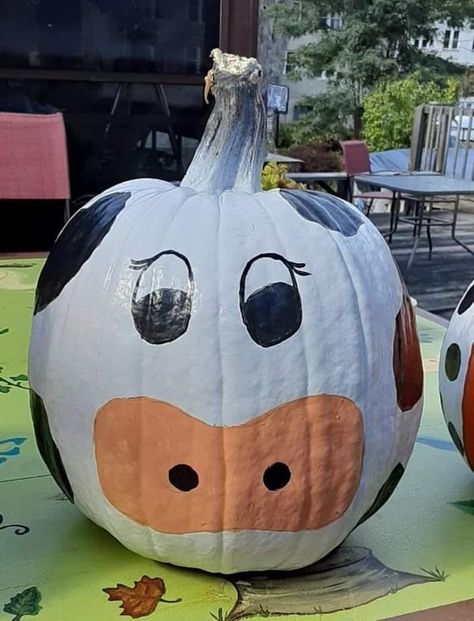 Painted Cow Pumpkins, Cow Painted Pumpkin, Cow Pumpkin Painting Ideas, Pumpkin Painting Ideas Cow, Cow Pumpkin Painting, Cute Painted Pumpkin Ideas, Cow Pumpkin, Pumpkins Painting, Pumpkin Paintings