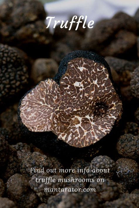 Growing Truffles, Chocolate Mushrooms, Wine Truffles, Truffle Mushroom, Mushroom Images, Edible Mushrooms, Kitchen Black, Truffle Oil, Chocolate Diamonds