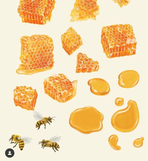 Honeycombs Drawings, Honey Bee Drawing, Honey Illustration, Honey Art, Bee Drawing, Honey Bottles, Bottle Drawing, Aesthetic Baby, Cottagecore Art