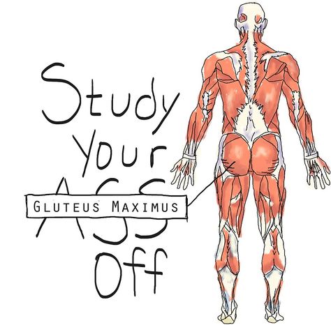 Medicine Vision Board Wallpaper Laptop, Gluteus Maximus, Nursing Motivation, Studera Motivation, Medical Stickers, Medical Quotes, Nursing School Motivation, Medical School Life, Aesthetic Doctor