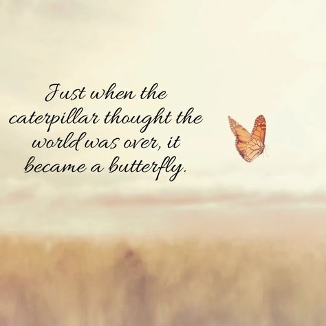 Just when the caterpillar thought that the world was over, it became a butterfly. - Mindset Made Better Caterpillar Quotes, Just When The Caterpillar Thought, Butterfly Poems, Letting People Go, Butterfly Quotes, Motivational Quotes Wallpaper, Strong Mind Quotes, Snap Quotes, Mindfulness Quotes