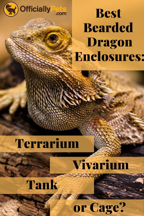 Best Bearded Dragon Enclosures: Terrarium, Vivarium, Tank or Cage? | Looking for the best Bearded Dragon enclosures? Discover whether a Terrarium, Vivarium, Tank or Cage is the best option for your Bearded Dragon! Bearded Dragon Vivarium Ideas, Bearded Dragon Vivarium, Dragon Terrarium, Bearded Dragon Terrarium, Bearded Dragon Enclosure, Bearded Dragon Cage, Bearded Dragon Habitat, Bearded Dragon Tank, Pet Tips