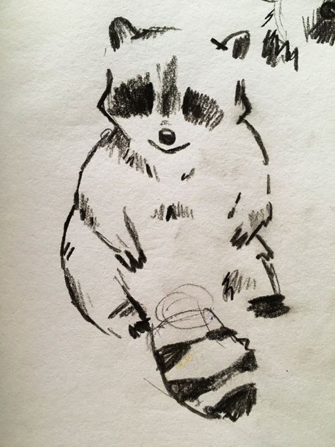 Drawing Of A Raccoon, Raccoon Sitting Drawing, Drawing Of Raccoon, Cute Charcoal Drawings, Sketches On Homework, Cute Animal Sketches Doodles, Small Animal Sketches, Random Doodle Ideas, How To Draw With Charcoal Pencils