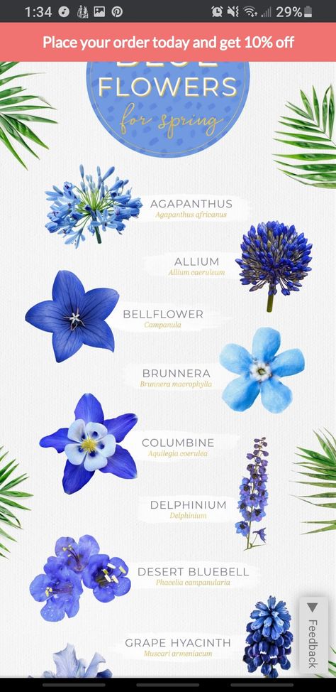 Bellflower Tattoo, Agapanthus Tattoo, Agapanthus Africanus, Moon Flower, Moon Tattoo, Delphinium, Simplistic Tattoos, Body Art Tattoos, Body Art