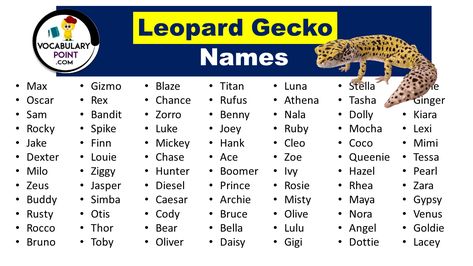 Do you own a leopard gecko but can’t seem to come up with the perfect name for your scaly friend? Look no further! In this article, we will explore a wide range of creative and unique leopard gecko names that are sure to make your pet stand out from the crowd. From fierce and exotic ... <a title="400 Creative Leopard Gecko Names For Male, Female & Funny" class="read-more" href="https://vocabularypoint.com/leopard-gecko-names/" aria-label="More on 400 Creative Leopard Gecko Names... Leopard Gecko Name Ideas, Gecko Name Ideas, Leopard Gecko Names, Gecko Names, Leopard Gecko Cage, Gecko Cage, Leopard Gecko Cute, Gecko Terrarium, Leopard Geckos