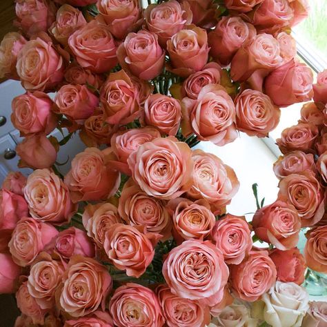 Kahala Rose, Garden Types, Cut Flower Garden, Color Inspo, Bouquet Wedding, Flower Bouquet Wedding, Cut Flowers, Beautiful Roses, Rose Cut