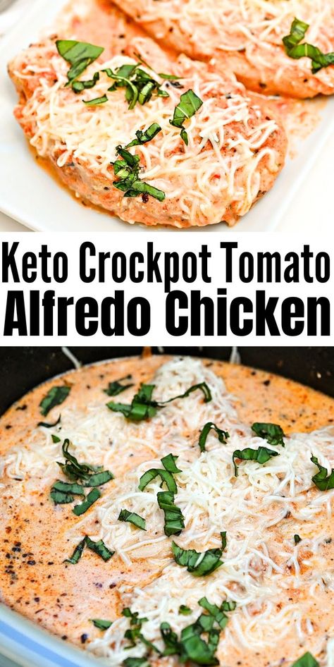 Keto Crockpot Tomato Alfredo Chicken #ketocrockpottomatoalfredochciken #crockpottomatoalfredochicken Tomato Alfredo Sauce, Alfredo Chicken, Keto Crockpot, Chicken Alfredo Recipes, Keto Crockpot Recipes, Recipe Cover, Crockpot Dishes, Chicken Alfredo, Keto Chicken