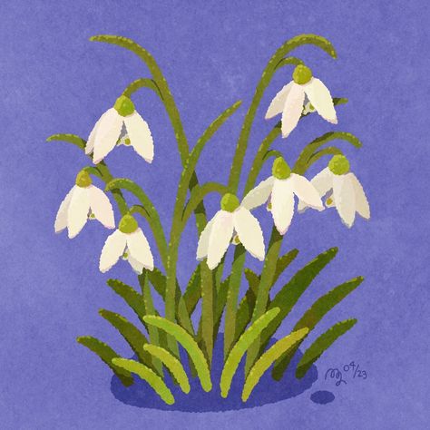 Snow drop season is over, but I still wanted to share these cuties with you 🌱 #snowdrops #schneeglöckchen #digitalillustration #flowerdrawing Snowdrop Flower Drawing, Pot Drawing, Minimalist Brand, Snow Drop, Ideas Journal, Snow Drops, Drawing Inspo, Flower Drawing, Nature Inspired