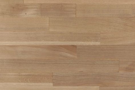 White Oak Floors, Oak Hardwood, Engineered Wood Floors, Oak Floors, Medical Center, Barndominium, Third Party, White Oak, Wood Floors