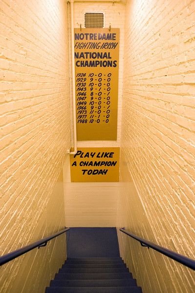 Play Like A Champion Today sign in the Notre Dame Football locker room Play Like A Champion Today, Football Locker Room, Notre Dame Wallpaper, Notre Dame Baby, Norte Dame Football, Noter Dame, Go Irish, College Football Teams, Room Photo