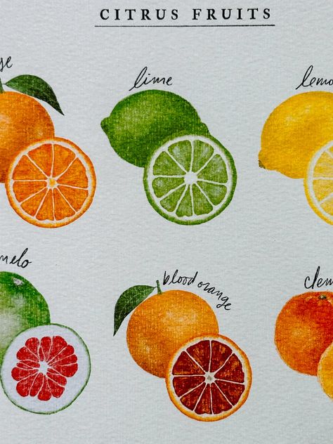 A happy little sunny Citrus Poster for your summer decor!🍋🍊🍋 This poster would look so great in your kitchen, sunroom, or pool area!☀️ Citrus Painting, Citrus Decor, Kitchen Sunroom, Citrus Kitchen, Fruit Artwork, Fruit Poster, Christmas Sketch, Study Gift, Paint Inspo