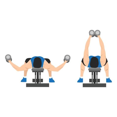 Man doing Flat bench dumbbell fly exercise. top view. Flat vector illustration isolated on white background Flat Dumbbell Fly, Fly Exercise, Chest Fly Workout, Dumbbell Fly, Push Workout, Chest Fly, Gym Machines, Flat Vector Illustration, Bench Designs