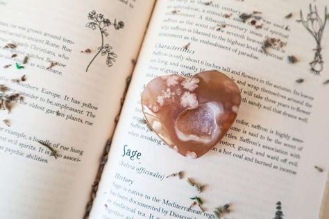 Flower Agate Meaning, Agate Properties, Agate Meaning, Crystal Vibes, Metaphysical Shop, Sacred Feminine, Flower Agate, Aesthetic Photos, Root Chakra