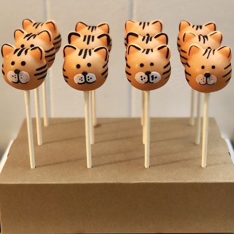 Cake Pop Animals, Cake Pops Animals, Tiger Cake Pops, Tiger Dessert, Rainforest Party, Panthers Cake, Money Bouquets, Paw Cake, Animal Cake Pops