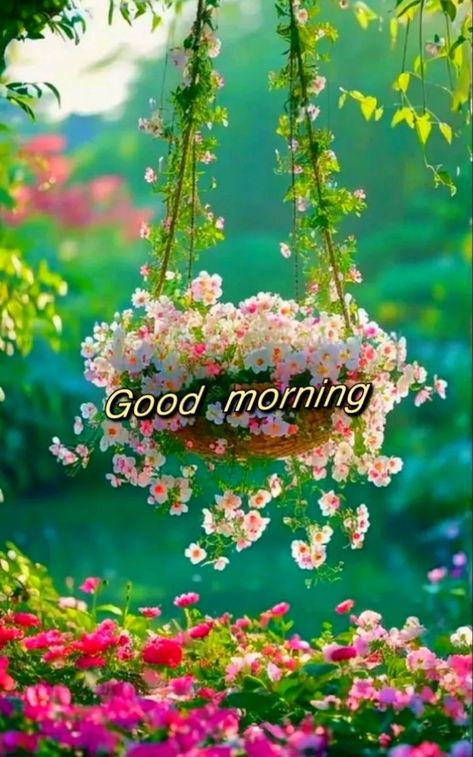 Nice Good Morning Images, Good Morning Wishes Gif, Good Night Beautiful, Good Morning Beautiful Gif, Good Morning Nature, Good Morning Flowers Quotes, Good Night Flowers, Morning Morning, Good Morning Flowers Pictures