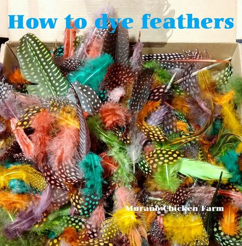 how to dye feathers Art Using Feathers, Chicken Feathers Crafts, Homestead Products, Chickens Homestead, Feather Drawings, Chickens For Eggs, Feather Ideas, Feathers Diy, Hat Feathers