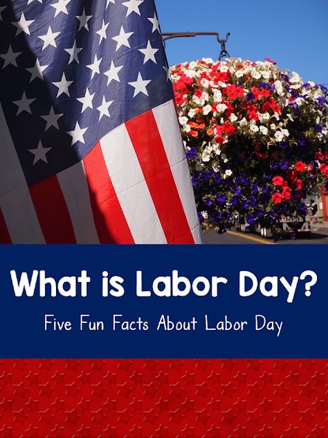 Labor Day in the United States is a public holiday celebrated on the first Monday in September. What is it all about? Find out with these fun facts. #kellysclassroomonline What Is Labor Day, Labor Day Activities, Honey Bee Facts, United States Geography, American Holidays, Branches Of Government, First Monday, Public Holiday, Marie Osmond