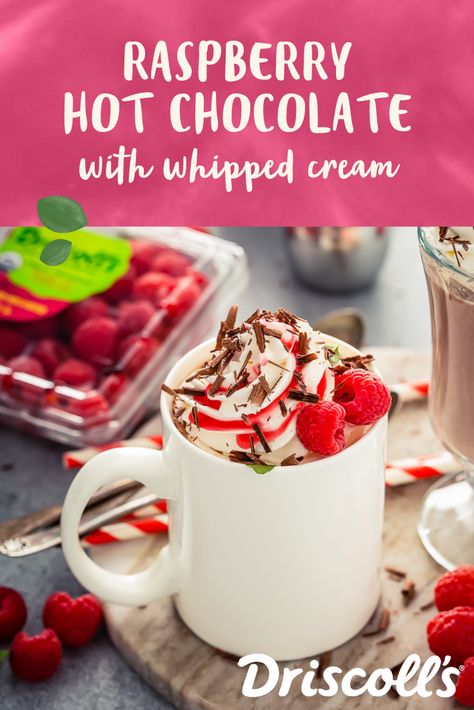 Raspberry Hot Chocolate, Driscolls Berries, Hot Chocolate Recipe Homemade, Kid Friendly Drinks, Cocoa Drink, Holiday Berries, Berry Recipes, Chocolate Garnishes, Hot Chocolate Recipe