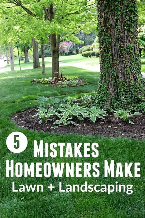 Front Lawn Landscaping, Landscaping Around Trees, Mulch Landscaping, Potting Benches, Lawn Design, Lawn Care Tips, Easy Landscaping, Garden Wallpaper, Landscape Edging