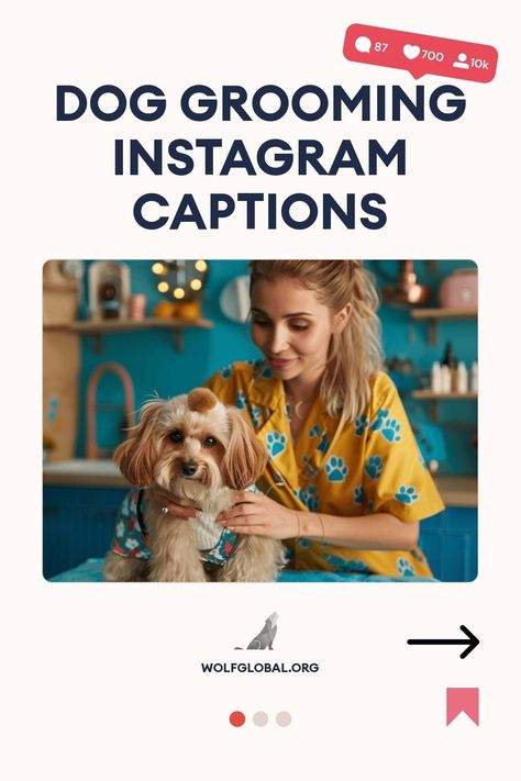 A woman grooming a cute dog, with text "Dog Grooming Instagram Captions" overhead.
An infographic listing benefits of dog grooming with a call-to-action button.
Advertisement featuring a happy woman on a laptop with social media engagement graphics and an invitation to join wolfglobal.org. Dog Grooming Instagram, Dog Grooming Quotes, Perfect Captions, Ig Captions, Pampered Pooch, Dog Wash, Time Quotes, Instagram Business, Dog Show