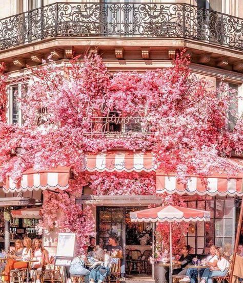 Parisian Cafe, Cute Cafe, Paris Cafe, Paris Restaurants, Beautiful Sites, Life Is A Journey, Instagram Worthy, Cafe Design, Cafe Restaurant