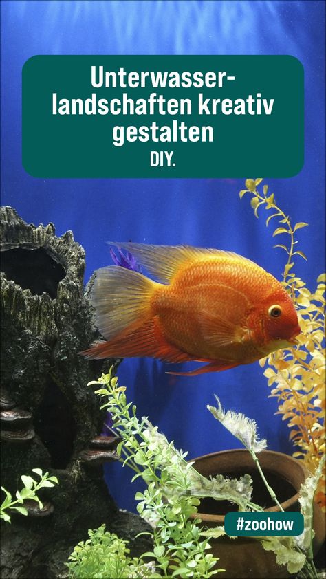 Träumst du von einem Aquarium, das eine zauberhafte Unterwasserwelt für seine Bewohner schafft und deinen Raum optisch aufwertet? 🐠✨ 
Findest du keinen Anfang und fehlt dir die Inspiration? 
Entdecke bei uns wertvolle Tipps und Ideen, wie du deine kleine Märchenwelt unter Wasser ganz einfach verwirklichen kannst! 🪸

#AquariumDesign #Unterwasserwelten #AquascapingIdeas #DIYAquarium #InspirationForAquariums Diy Aquarium, Aquarium Design, Aquascaping, Quick Saves