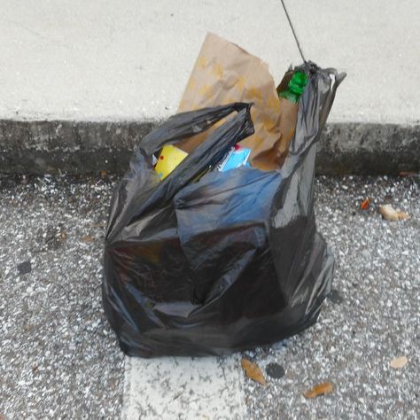 Parking lot household trash bag toss - Goodwill North Trail Sarasota. Street Trash, Bag Toss, Trash Bag, Parking Lot, Sarasota, Collage, Pins, Quick Saves, Car Park