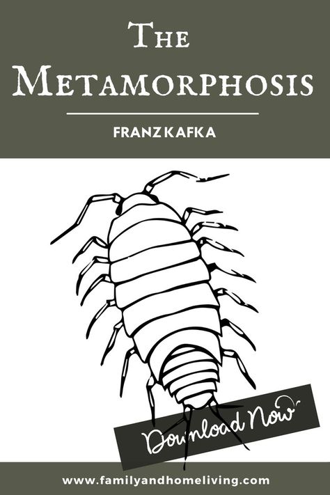 The metamorphosis book is one of Franz Kafka's most famous and well-known short stories. It was first published in 1915 and follows the very sad story of a man by the name of Gregor who is mysteriously transformed into an insect-like creature. Download a free copy of The Metamorphosis book in PDF format by clicking the button below. The Metamorphosis Book, Franz Kafka Books, Metamorphosis Book, Must Read Classics, Public Domain Books, The Metamorphosis, Franz Kafka, Classic Romance, Free Books Download