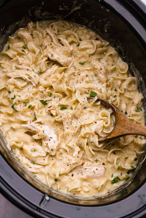 If you’re wondering what to add to the dinner lineup this week, this creamy slow cooker chicken and noodles is the answer! Everything gets cooked in the crockpot (even the noodles!) and the sauce is a tasty mix of cream of chicken soup, garlic, and Italian seasonings! Salisbury Steak Crockpot, Creamy Chicken And Noodles, Crockpot Chicken And Noodles, Italian Seasonings, Slow Cooker Creamy Chicken, Chicken And Noodles, Chicken Tonight, Salisbury Steak Recipes, The Recipe Critic