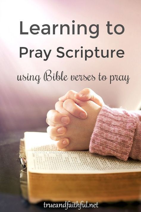 Praying scripture deepens our prayers and helps us pray God's will. Freshen your prayers by learning to pray the Bible. via @LisaAppelo Prayer Topics, Pray Scripture, Praying Scripture, Prayer Challenge, God's Peace, Peace Prayer, God Promises, Woman Images, Huge Family