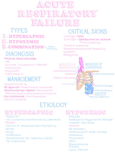 Respiratory Nursing, Respiratory Pharmacology, Respiratory Therapist Student Notes, Respiratory Therapist Aesthetic, Respiratory Failure, Respiratory Failure Nursing, Respiratory Assessment Nursing, Acute Respiratory Failure Nursing, Respiratory Medications