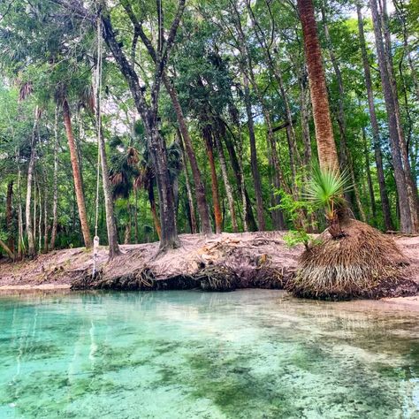 Withlacoochee River, Rainbow River, Rainbow Springs, Florida Springs, Backcountry Camping, Snorkel Set, Moving Water, Blue Spring, Swimming Holes