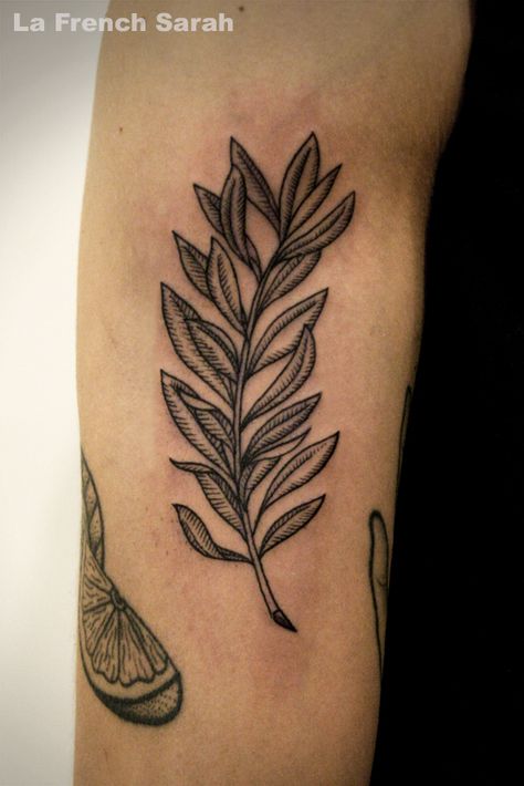 Tatouage branche d'olivier, Olive tree branch tattoo Olive Tree Leaves Tattoo, Olive Tree Branch Tattoo, Palm Branch Tattoo, Old Tree Tattoo, Olive Tree Tattoo, Olive Tree Tattoos, North Star Tattoos, Palm Tree Tattoo Ankle, Olive Tattoo